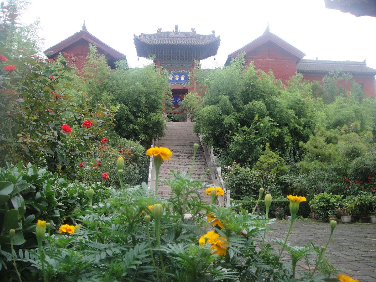 运城美食野菜,运城田间美食推荐