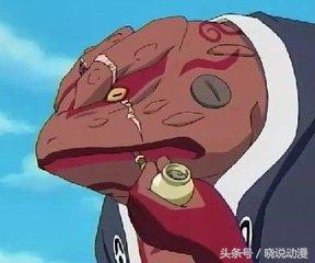 火影忍者通灵兽蛞蝓进阶,火影忍者纲手通灵兽蛞蝓