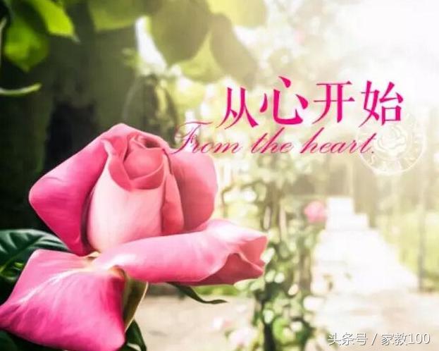 被哈佛免费录取的条件,哈佛医学院录取条件