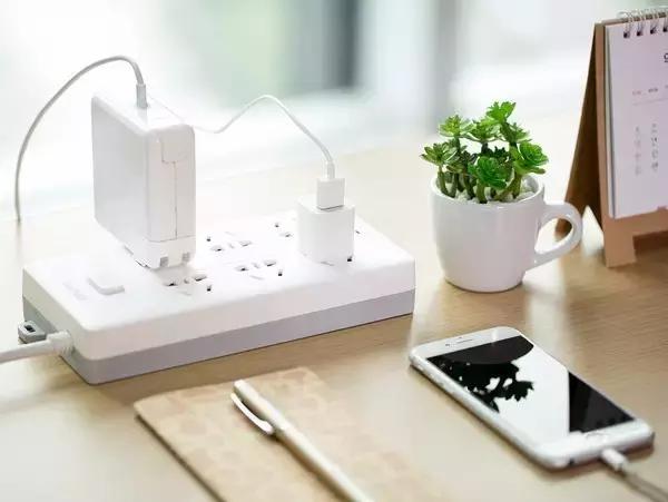 十大室内最好养活的绿植排行榜,绿植大全1000种