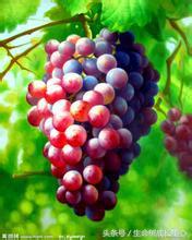 孕35周失眠用食疗法,失眠食疗法大全