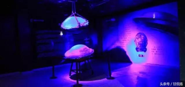 周末中山值得去打卡的地方,中山周末去耍的公园