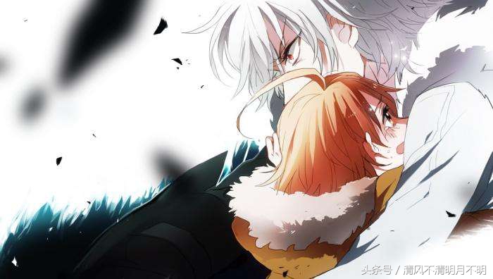 呆毛｜萌的代名词，呆毛不呆，呆毛最呆