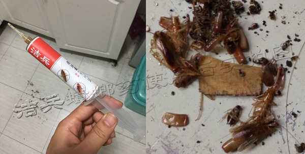 喷雾蟑螂杀虫剂有效果吗,喷雾的蟑螂药哪个牌子好