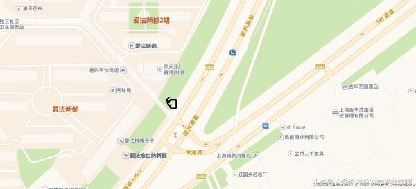 猫生完崽死了的小猫咪怎么处理好,猫快死的时候症状