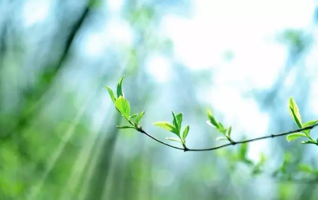 希望乙肝人走出心理误区,乙肝并不可怕可怕的是盲目和无知