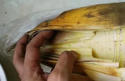 手剥笋怎么除涩,笋要怎么去酸涩