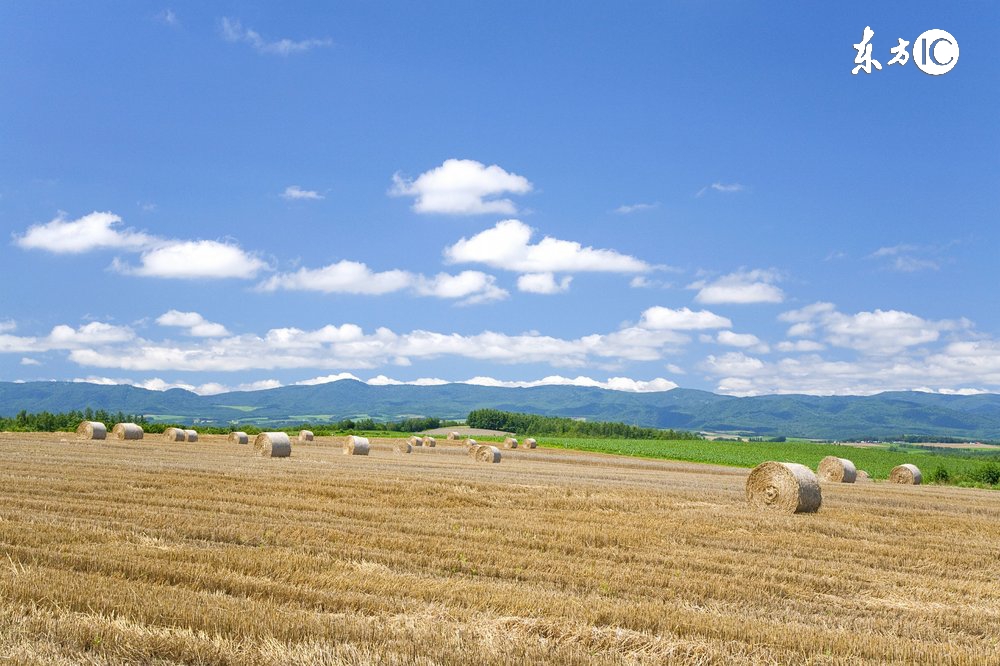 农村土地流转后还有粮补吗,土地流转以后大龄农民靠什么生活