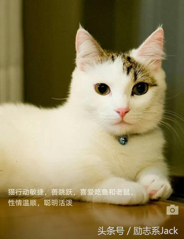 qq多长时间会被收回,qq邮箱长时间不用被收回怎么办