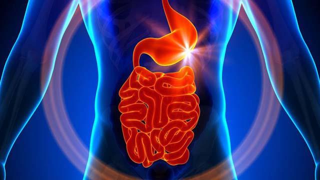 塞来昔布治疗萎缩性胃炎怎样用药,浅表性胃炎萎缩性胃炎需要用药吗