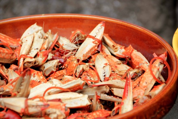 去青岛吃海星,青岛旅游吃海鲜自述