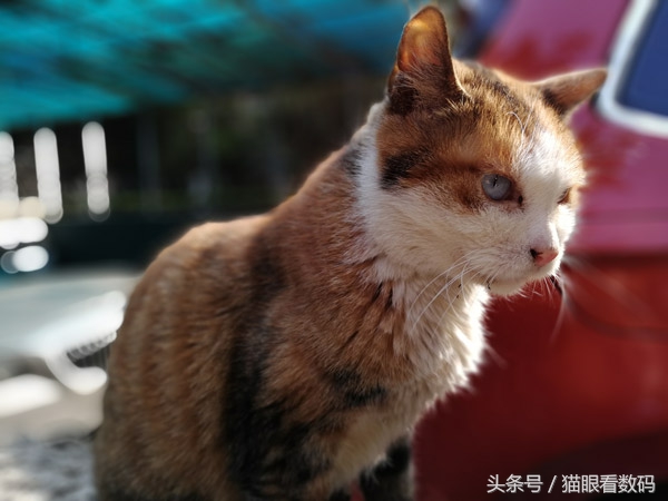 荣耀v9测评,荣耀v9麒麟960怎么样