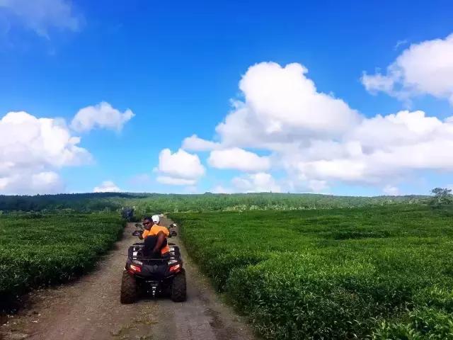 毛里求斯，拿水壶换保时捷的天堂