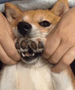 厉害的纹身师,纹身厉害的纹身师