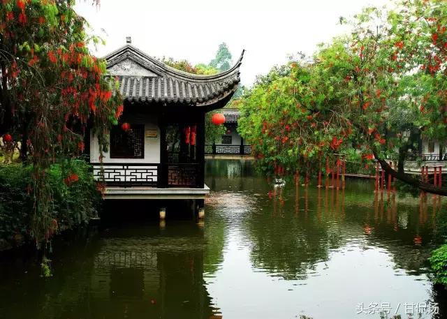 周末中山值得去打卡的地方,中山周末去耍的公园