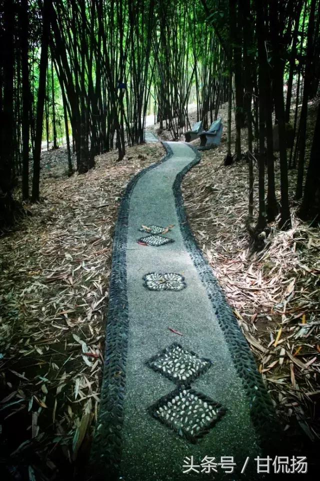 周末中山值得去打卡的地方,中山周末去耍的公园