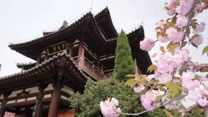 运城美食野菜,运城田间美食推荐