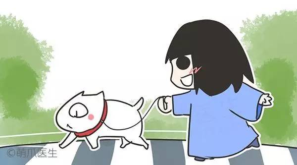 狗狗的小爪子怎么弄,狗狗的爪子怎么训练