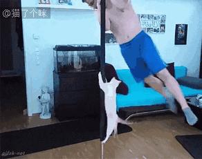 十条笑话：老师从后门窜进来，对我说了句；没收！