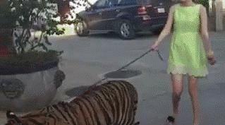 十条笑话：老师从后门窜进来，对我说了句；没收！