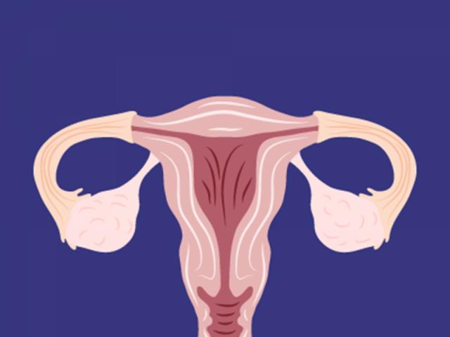 女性生育保险怎么买划算,女士45岁买保险买什么险最划算