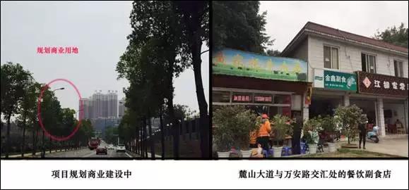 麓山最好的楼盘有哪些,麓山集团开发了哪些楼盘