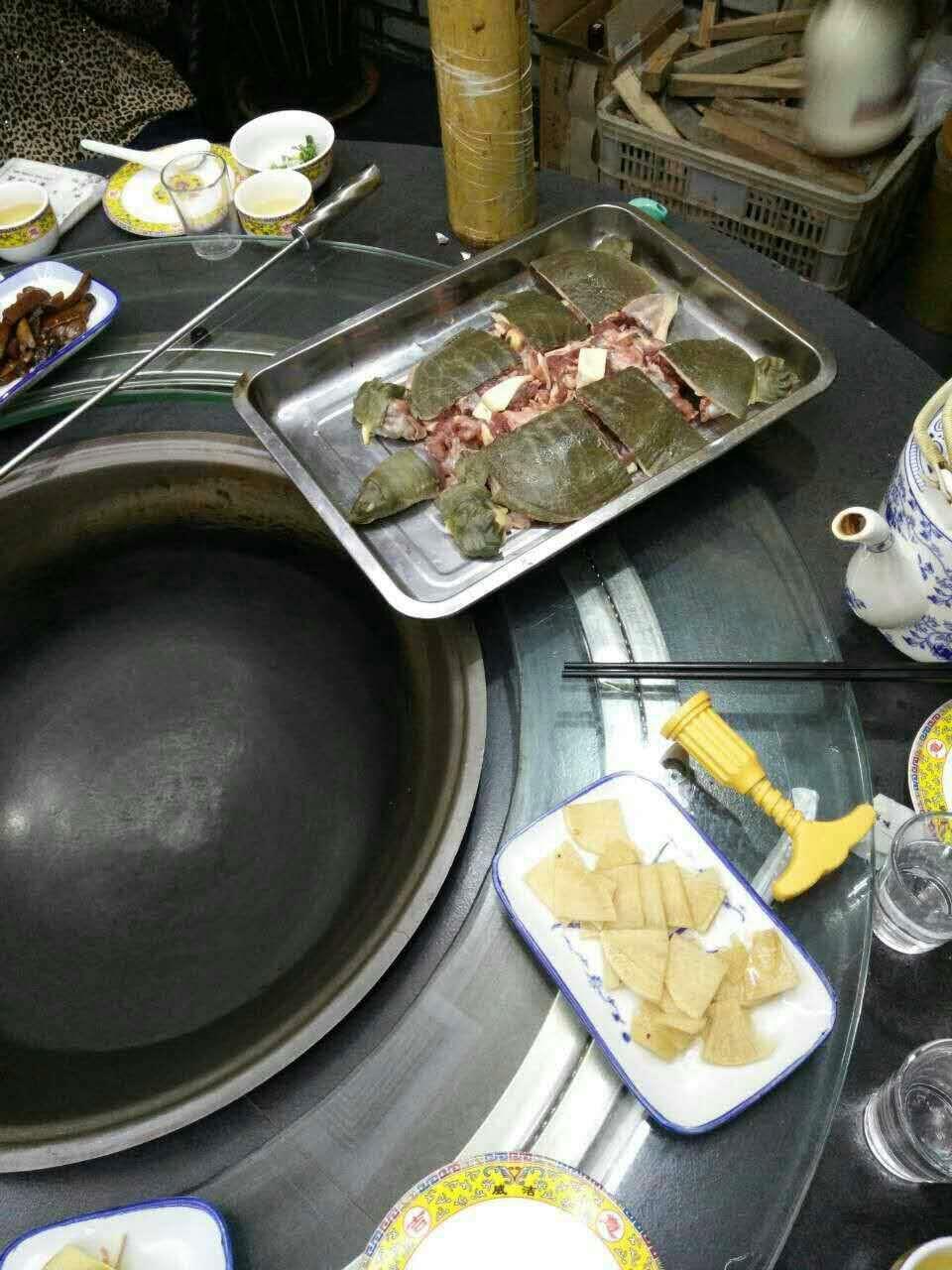 现杀现炖特色甲鱼,外面杀好的甲鱼怎么做