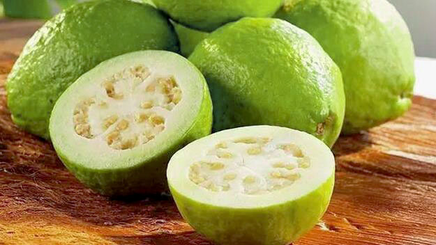 广西哪里有珍珠番石榴,广西北流珍珠石榴