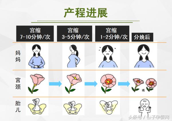 掌握自然分娩的四个产程要点，孩子顺产妥妥的！