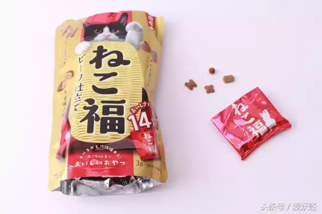 宠物洁牙方法,无麻醉宠物洁牙教程