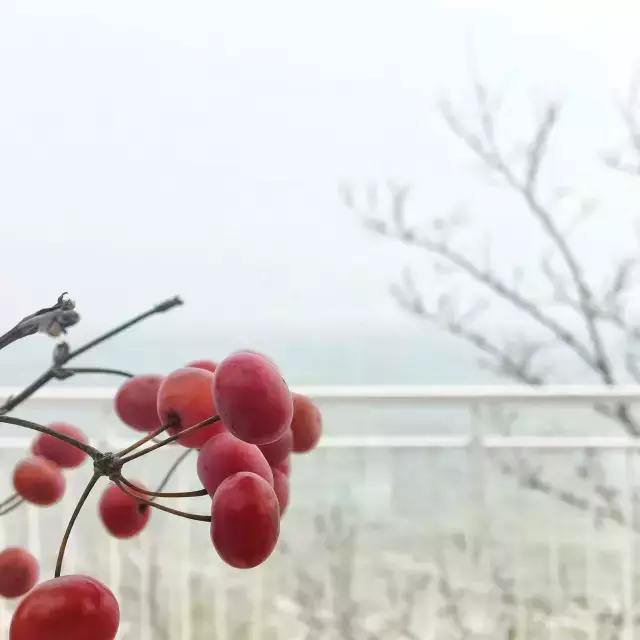 在乐活美宿邂逅别样四季