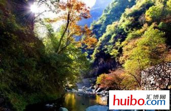 重庆最穷和最富的2个县,重庆最穷的和最富的两个县