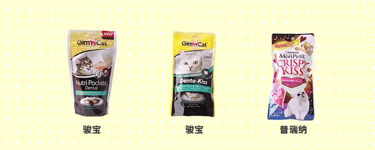 宠物洁牙方法,无麻醉宠物洁牙教程