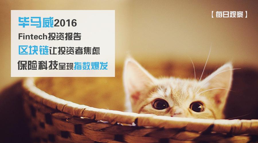 毕马威投资价值分析,毕马威金融科技50强