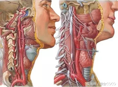 广州华彩健康管理中心谈：面部抽动症竟可能是颈椎错位所致！