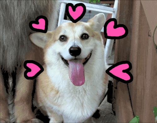 蛋糕店一般都是植物奶油吗,现在的蛋糕是植物奶油吗