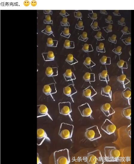 开榨油坊的真实案例,开个榨油坊一年能挣多少钱