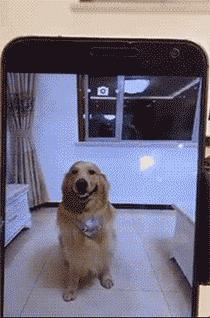 密集恐惧症不小心看到了怎么办,密集恐惧症的最可怕瞬间