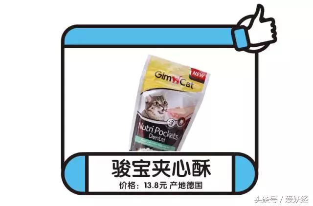 宠物洁牙方法,无麻醉宠物洁牙教程