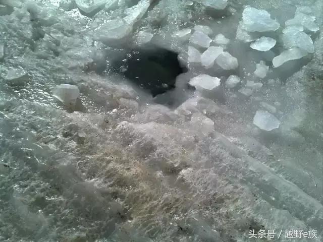 可可西里无人区车沉湖事件,可可西里沉湖事件