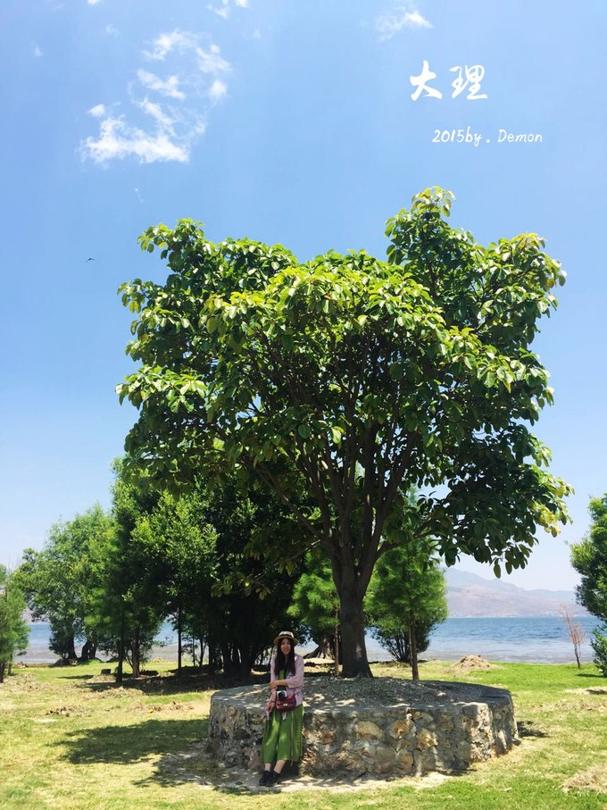 彩云以南，我们终于出发の我带着你，你带着钱！