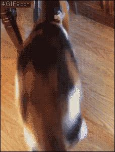 以前连身体都可以进去的朋友现在连空间都进不去