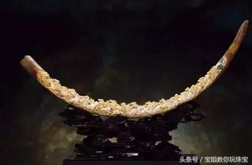 猛犸象现在真的灭绝了吗,猛犸象已灭绝为什么还有猛犸象牙