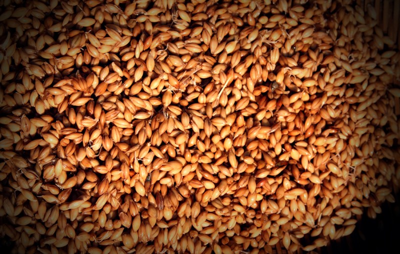 糖忆·糖艺（三）：一吹一塑里的秘籍