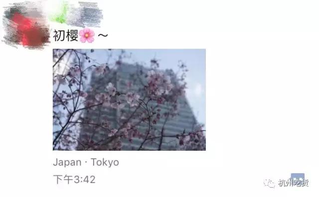 一天吃8顿算啥！回我老家青岛，带你吃上24小时！