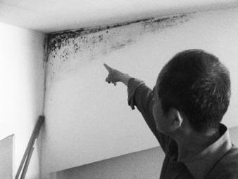房子墙壁如何做才不发霉不开裂,装修怎么避免墙体发霉开裂