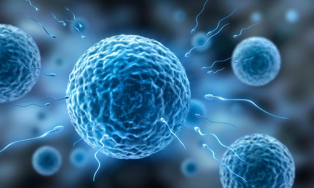 法律人之声｜如此性健康教育让人担忧