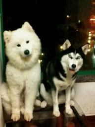 以前连身体都可以进去的朋友现在连空间都进不去