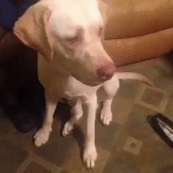 以前连身体都可以进去的朋友现在连空间都进不去