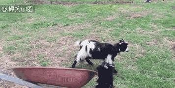 以前连身体都可以进去的朋友现在连空间都进不去